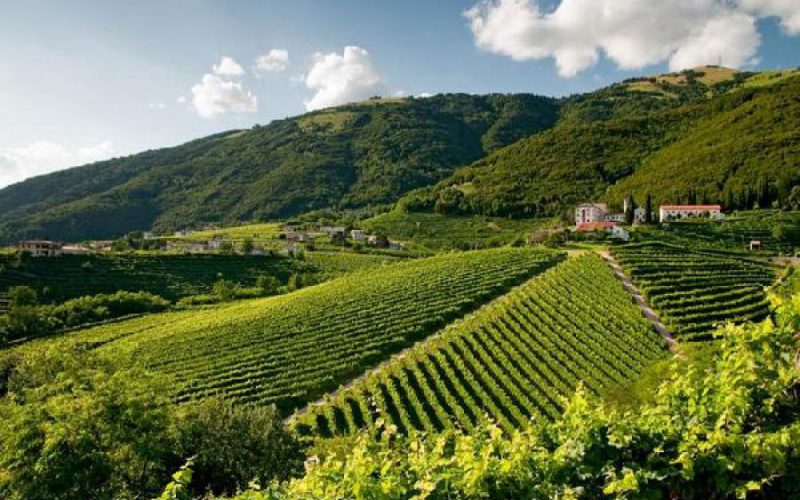 Colline Prosecco Valdobbiadene - A Casa di Ita